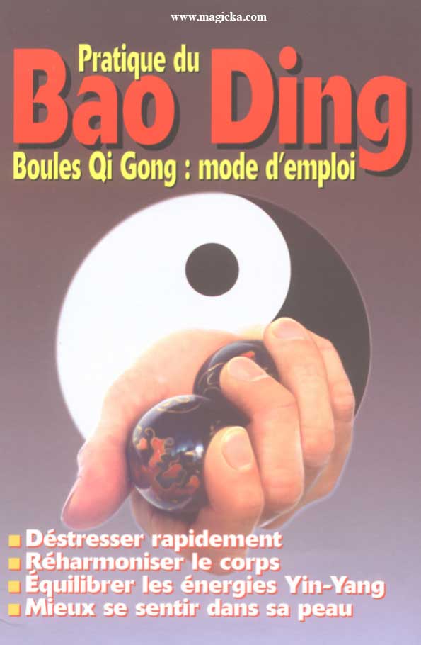 livre Pratique du Bao Ding